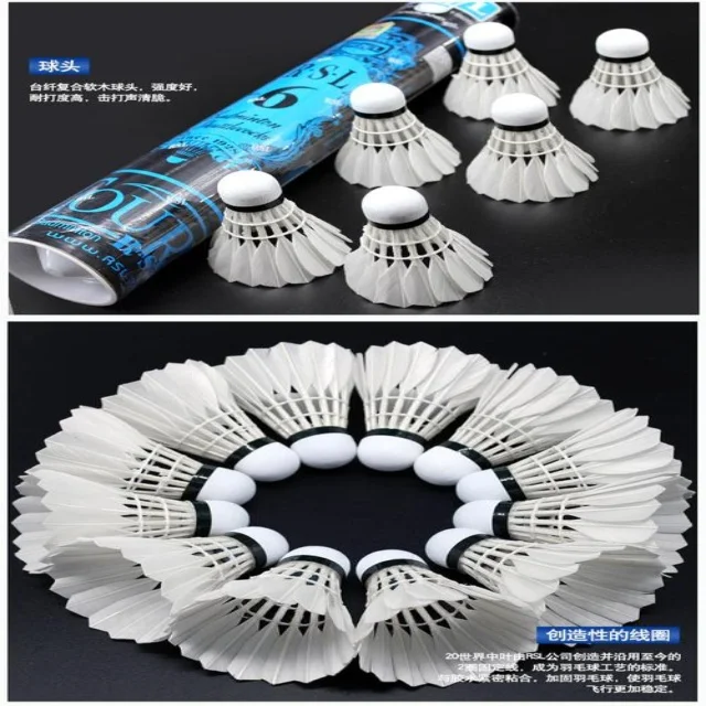 深入聚焦赛事动态：掌握最新新闻资讯